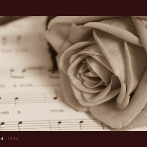 Meet your Posher, Alveena